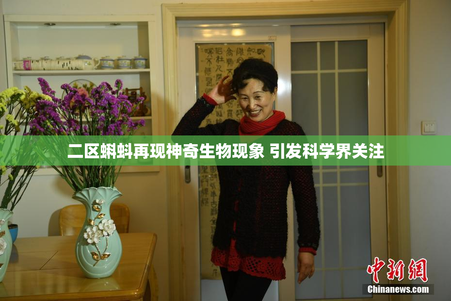 二区蝌蚪再现神奇生物现象 引发科学界关注
