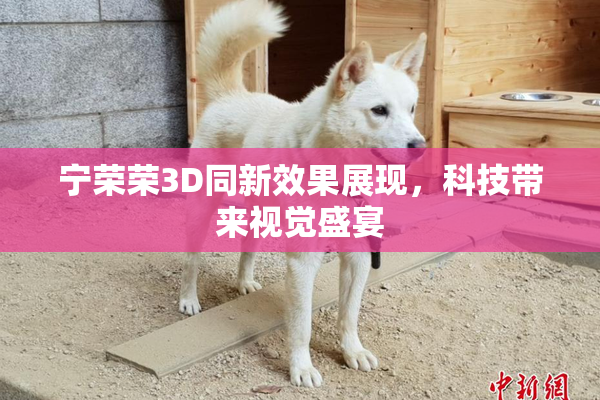 宁荣荣3D同新效果展现，科技带来视觉盛宴
