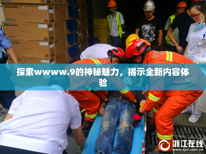 探索wwww.9的神秘魅力，揭示全新内容体验