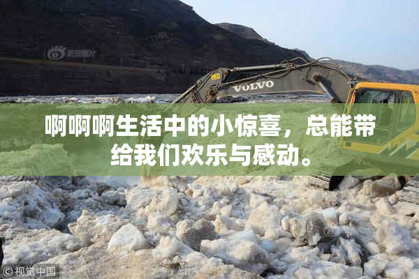 啊啊啊生活中的小惊喜，总能带给我们欢乐与感动。