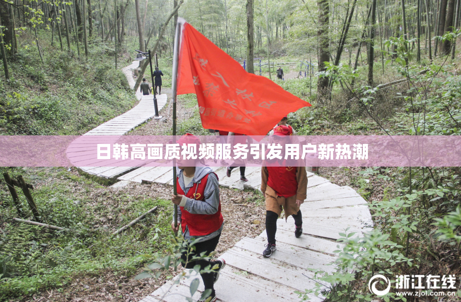 日韩高画质视频服务引发用户新热潮