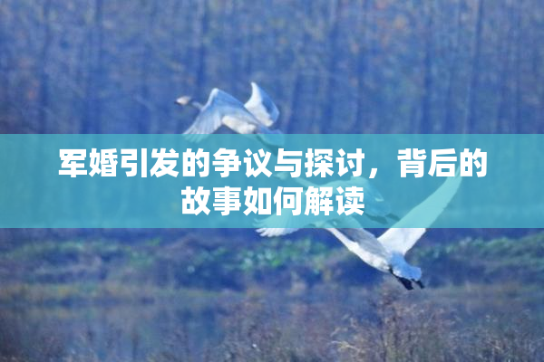 军婚引发的争议与探讨，背后的故事如何解读
