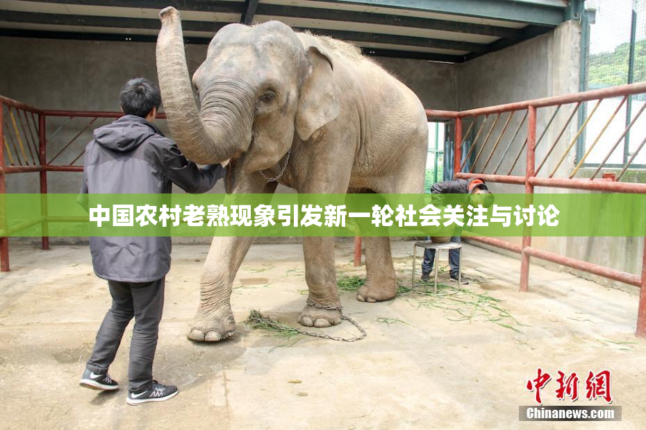 中国农村老熟现象引发新一轮社会关注与讨论