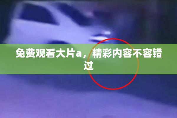 免费观看大片a，精彩内容不容错过