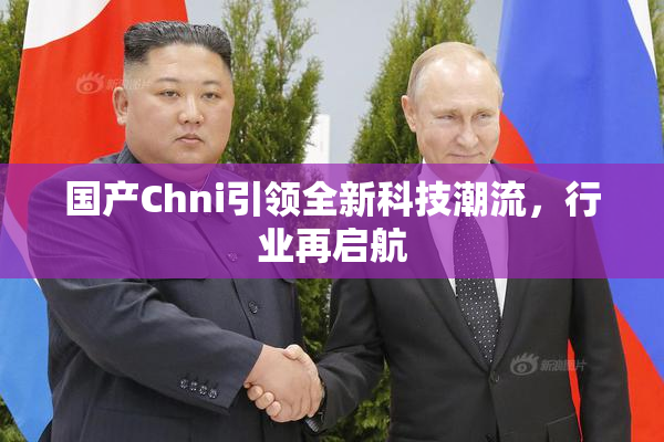 国产Chni引领全新科技潮流，行业再启航