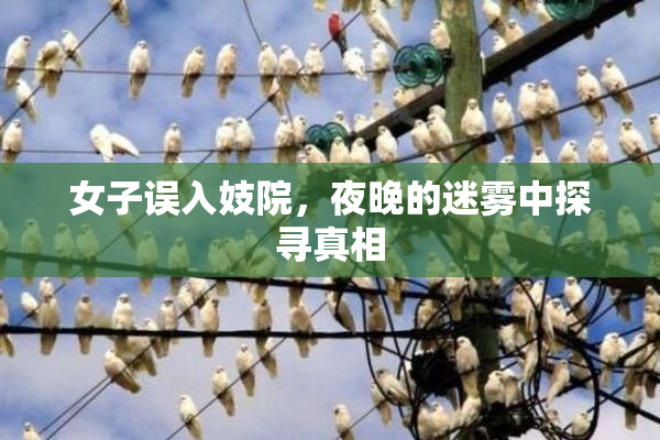 女子误入妓院，夜晚的迷雾中探寻真相