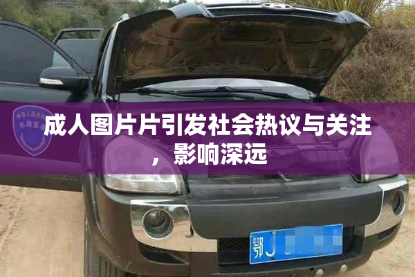 成人图片片引发社会热议与关注，影响深远
