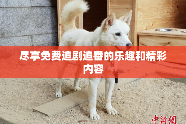 尽享免费追剧追番的乐趣和精彩内容