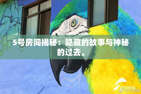 5号房间揭秘：隐藏的故事与神秘的过去。