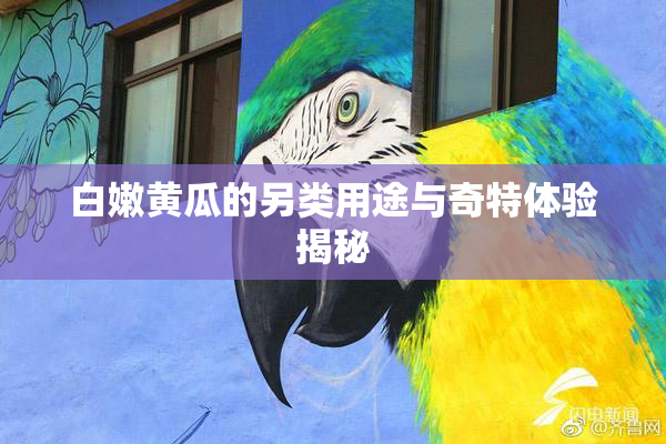 白嫩黄瓜的另类用途与奇特体验揭秘