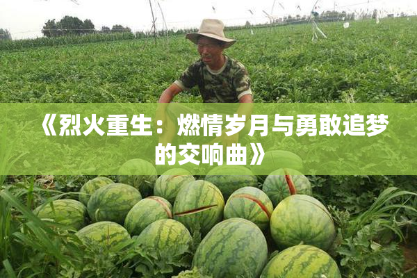 《烈火重生：燃情岁月与勇敢追梦的交响曲》