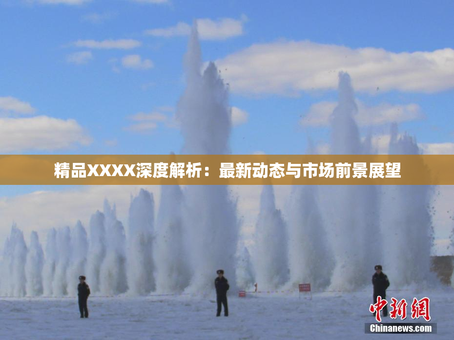 精品XXXX深度解析：最新动态与市场前景展望