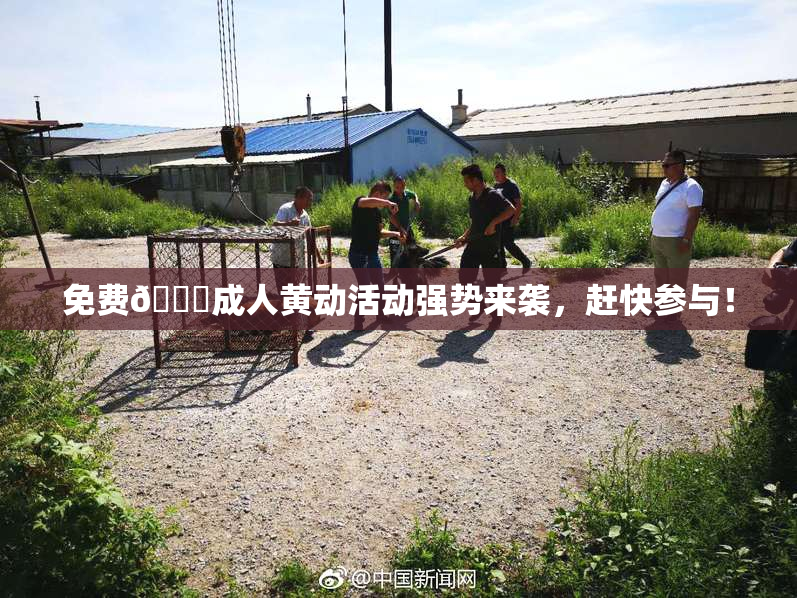 免费🔞成人黄动活动强势来袭，赶快参与！