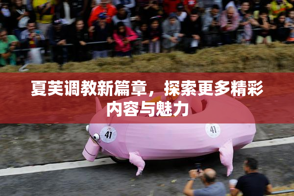 夏芙调教新篇章，探索更多精彩内容与魅力