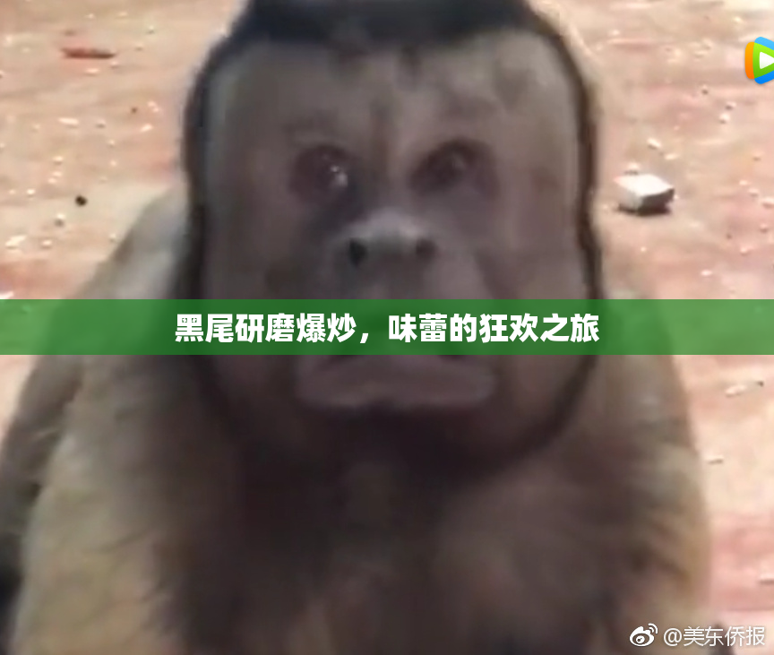 黑尾研磨爆炒，味蕾的狂欢之旅
