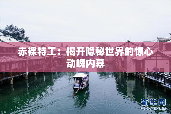 赤裸特工：揭开隐秘世界的惊心动魄内幕