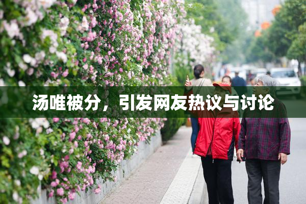 汤唯被分，引发网友热议与讨论