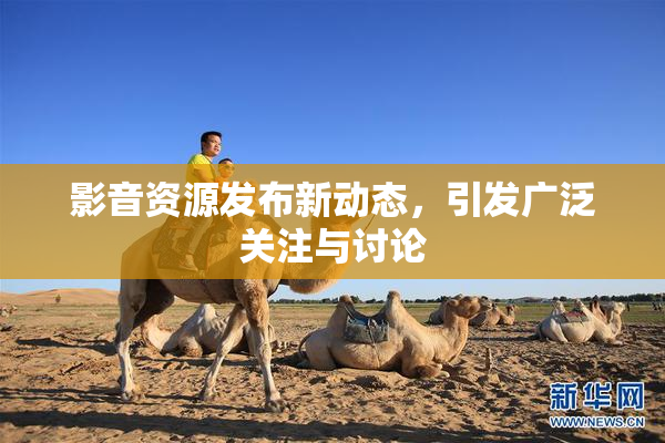 影音资源发布新动态，引发广泛关注与讨论