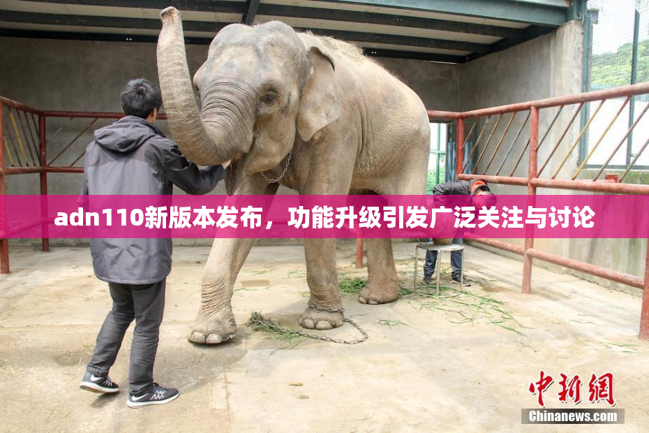 adn110新版本发布，功能升级引发广泛关注与讨论