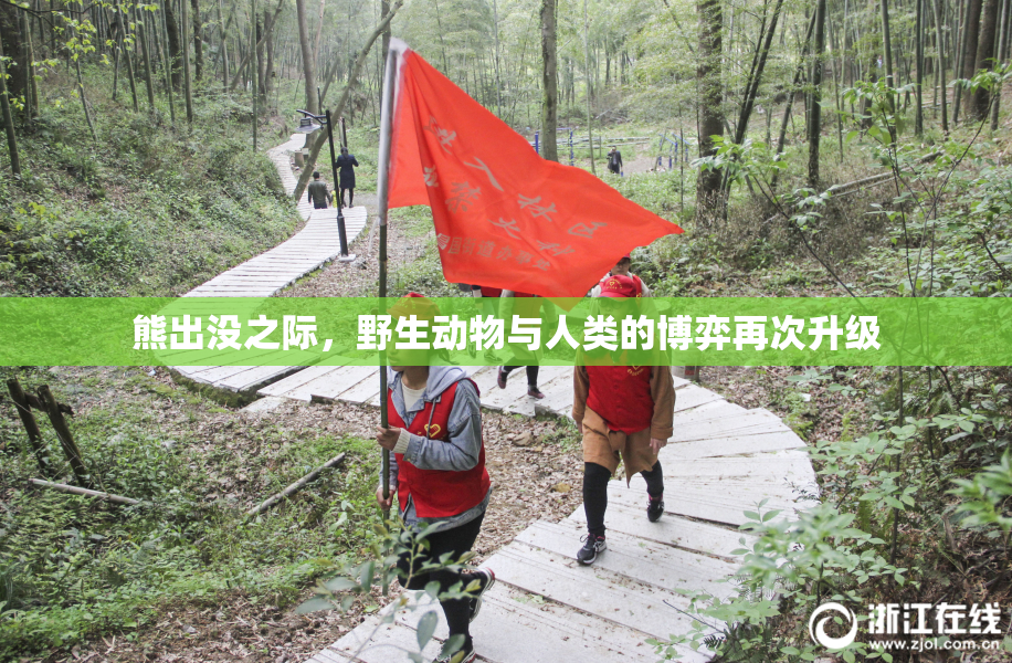 熊出没之际，野生动物与人类的博弈再次升级