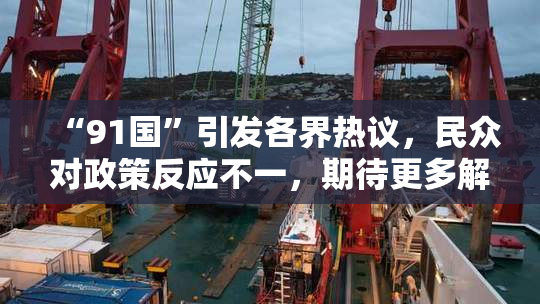 “91国”引发各界热议，民众对政策反应不一，期待更多解读与应对方案