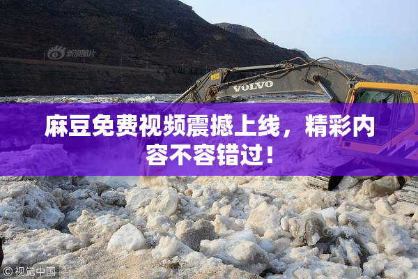 麻豆免费视频震撼上线，精彩内容不容错过！