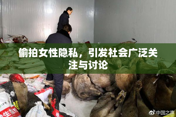 偷拍女性隐私，引发社会广泛关注与讨论