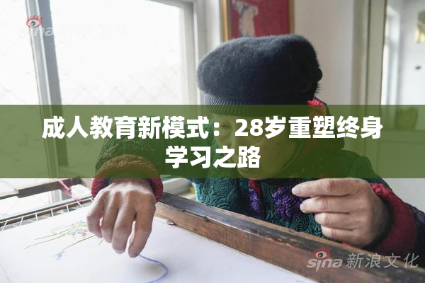 成人教育新模式：28岁重塑终身学习之路