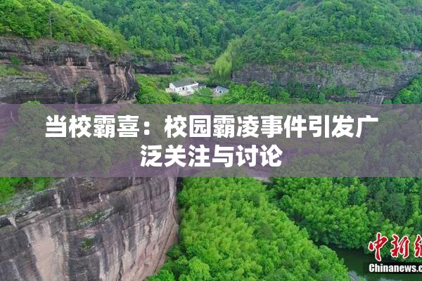 当校霸喜：校园霸凌事件引发广泛关注与讨论