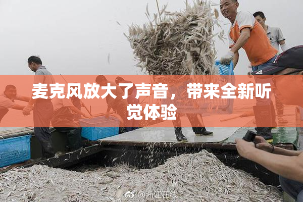 麦克风放大了声音，带来全新听觉体验