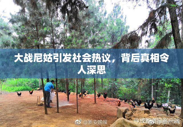大战尼姑引发社会热议，背后真相令人深思