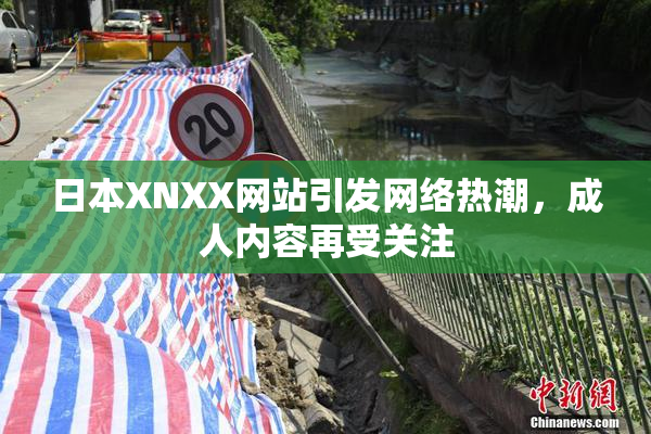 日本XNXX网站引发网络热潮，成人内容再受关注