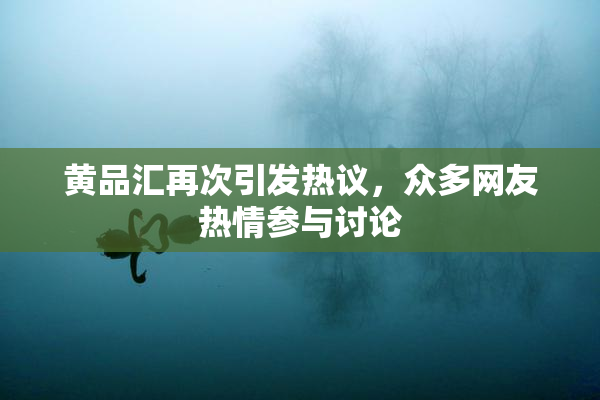 黄品汇再次引发热议，众多网友热情参与讨论