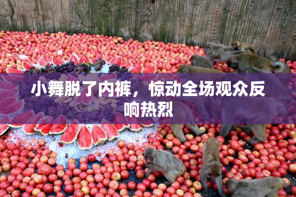 小舞脱了内裤，惊动全场观众反响热烈