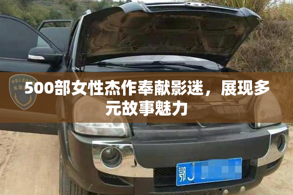 500部女性杰作奉献影迷，展现多元故事魅力