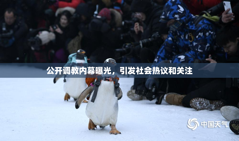 公开调教内幕曝光，引发社会热议和关注
