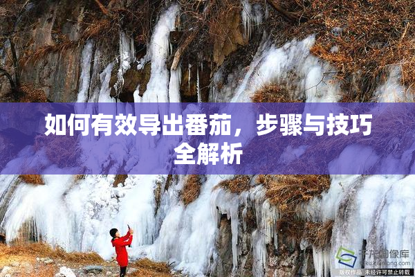 如何有效导出番茄，步骤与技巧全解析