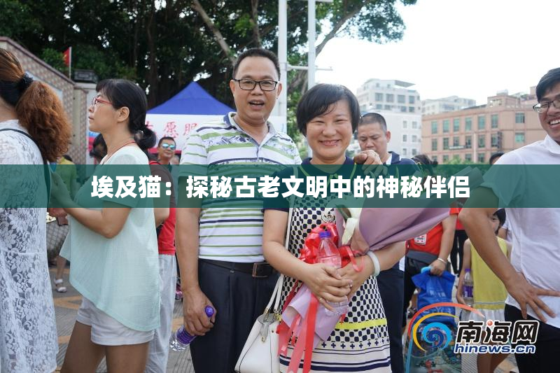 埃及猫：探秘古老文明中的神秘伴侣