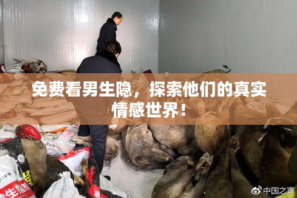 免费看男生隐，探索他们的真实情感世界！