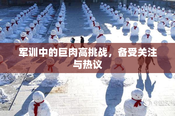 军训中的巨肉高挑战，备受关注与热议