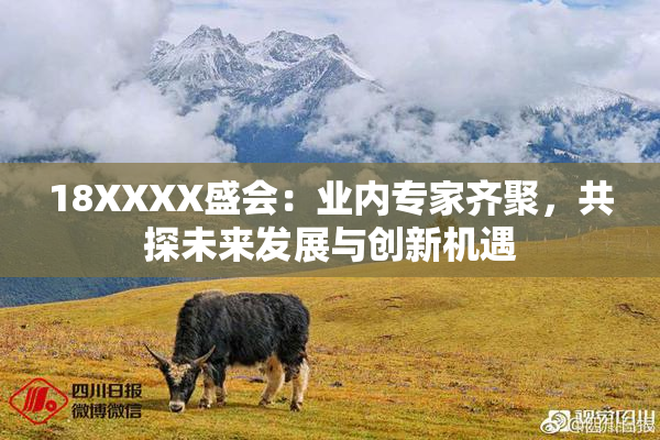 18XXXX盛会：业内专家齐聚，共探未来发展与创新机遇