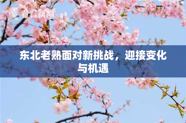 东北老熟面对新挑战，迎接变化与机遇