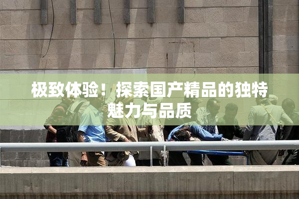 极致体验！探索国产精品的独特魅力与品质
