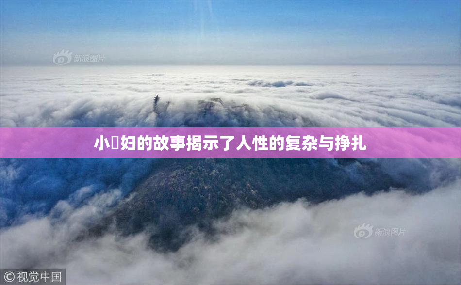 小婬妇的故事揭示了人性的复杂与挣扎