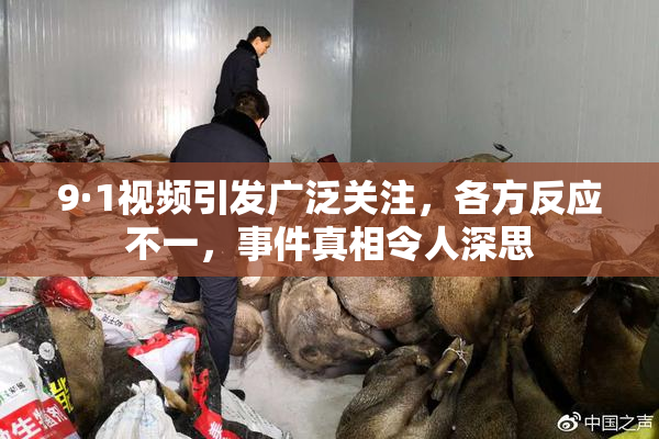 9·1视频引发广泛关注，各方反应不一，事件真相令人深思