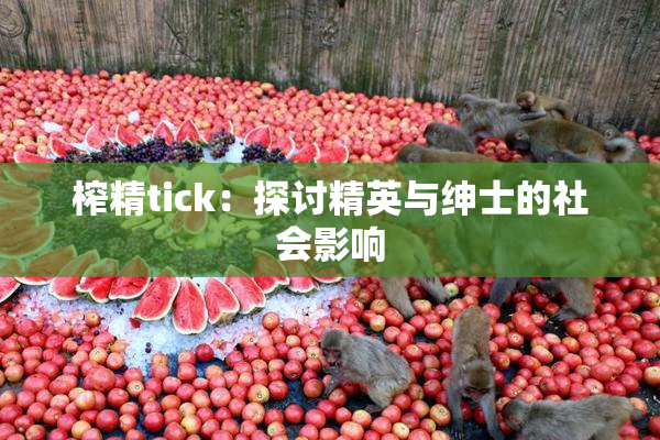 榨精tick：探讨精英与绅士的社会影响