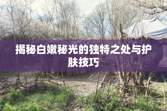 揭秘白嫩秘光的独特之处与护肤技巧