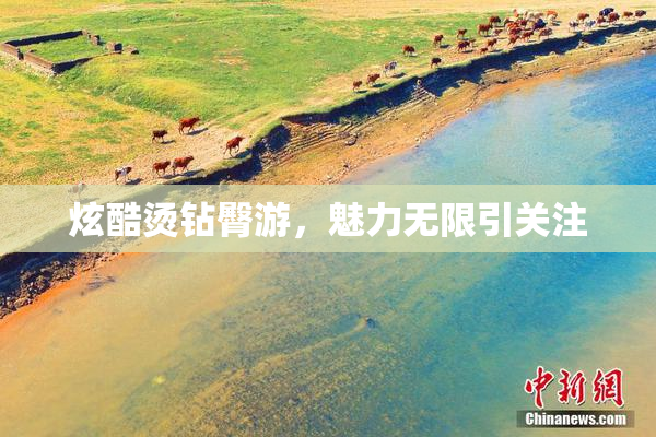 炫酷烫钻臀游，魅力无限引关注