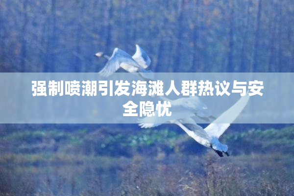 强制喷潮引发海滩人群热议与安全隐忧
