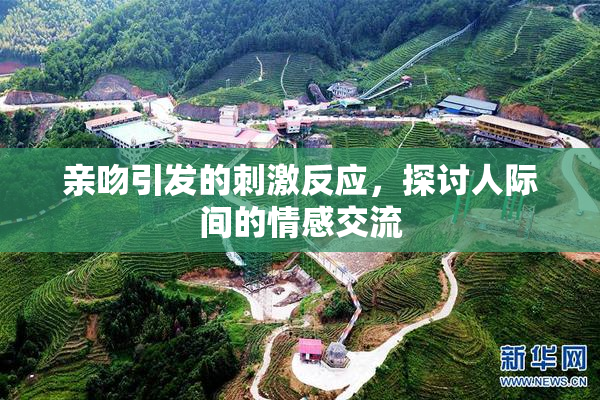 亲吻引发的刺激反应，探讨人际间的情感交流